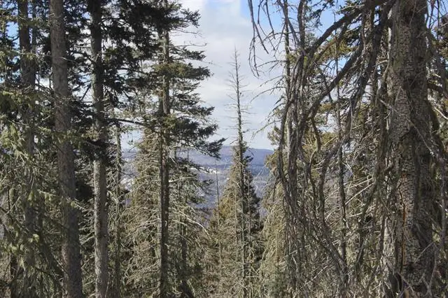 Lot 19 Happy Way, Angel Fire, NM 87710 - Image #2