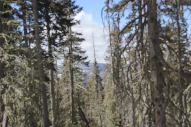 Lot 19 Happy Way, Angel Fire, NM 87710 - Image #3