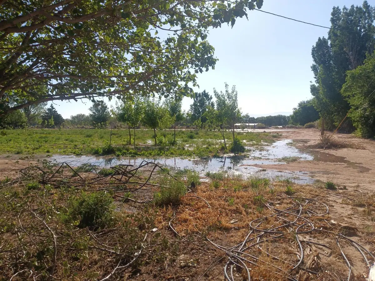 52 Ladera Road, Belen, NM 87002 - Image #1