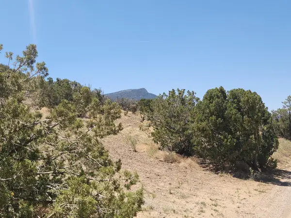 4 Charlotte Lane, Placitas, NM 87043