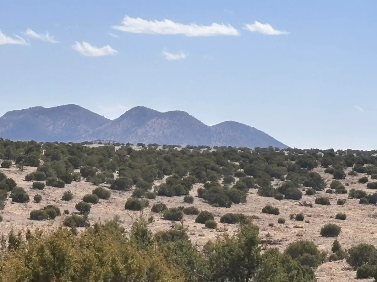 Lot 173 Pinon Springs Ranch, Magdalena, NM 87825 - Image #1