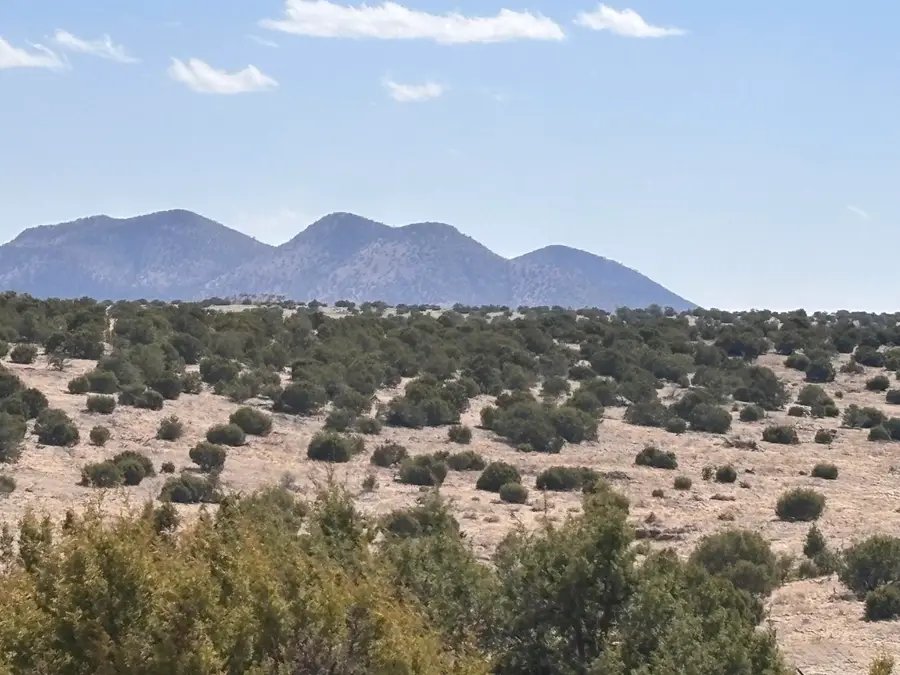 Lot 173 Pinon Springs Ranch, Magdalena, NM 87825 - Image #2