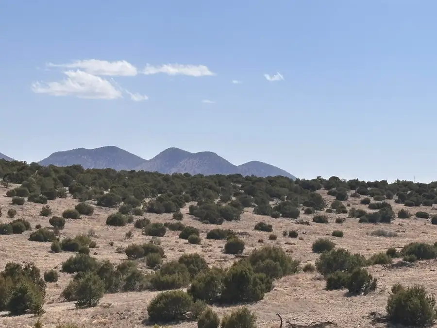 Lot 173 Pinon Springs Ranch, Magdalena, NM 87825 - Image #3