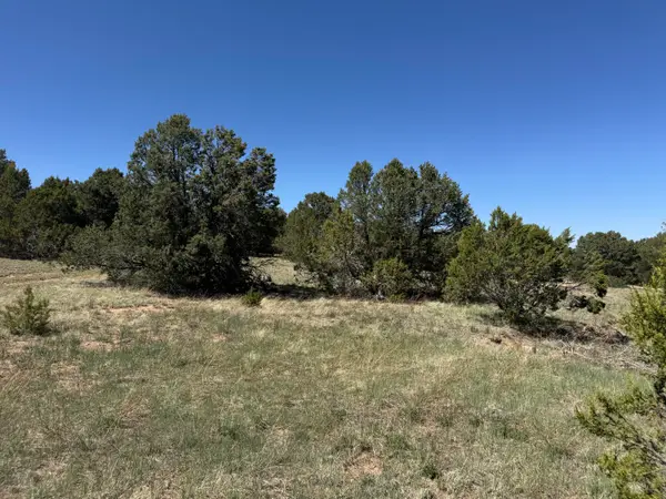 Tract 3 Gonzales Road, Edgewood, NM 87015