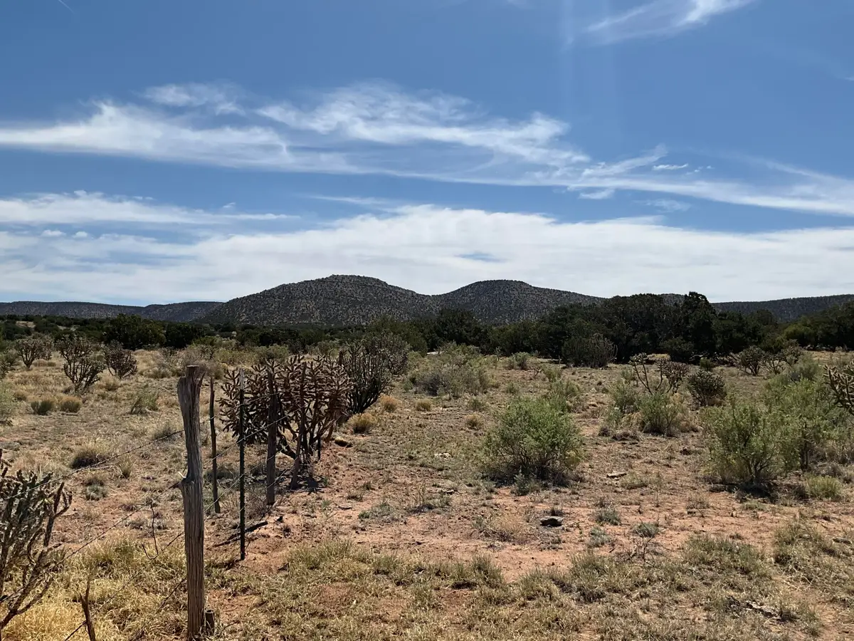 S: 10 T: 2n R: 6e N2ne4 (80ac, Mountainair, NM 87036 - Image #1