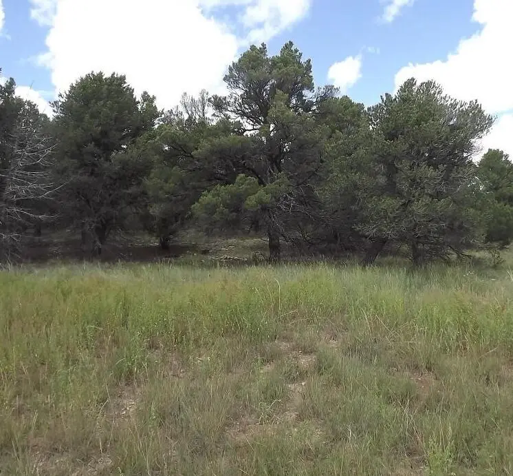 36 Plant Road, Edgewood, NM 87015 - Image #2