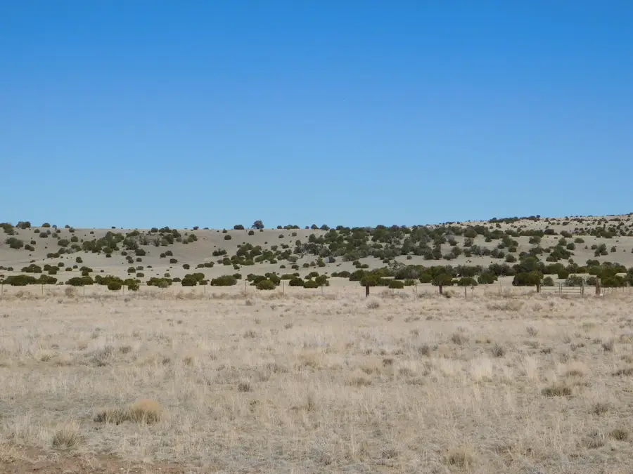 169 Deer Circle, Quemado, NM 87829 - Image #2