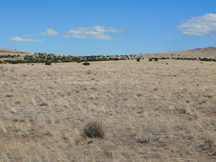 169 Deer Circle, Quemado, NM 87829 - Image #3