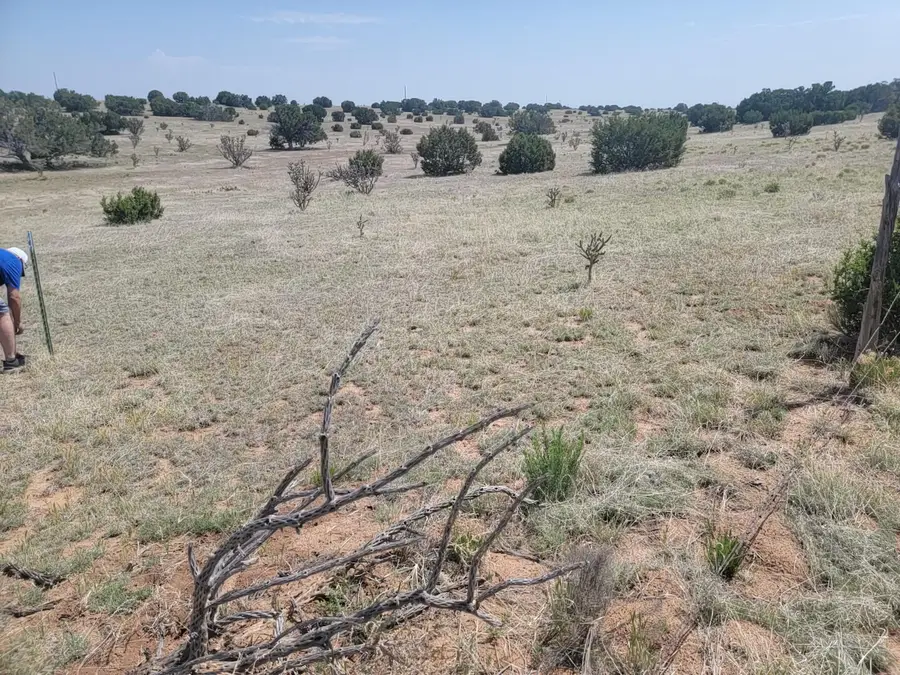 140 Brazos Loop, Estancia, NM 87016 - Image #2