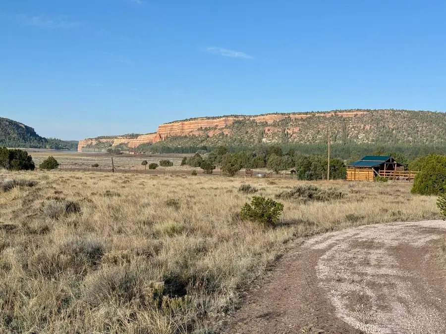 Lot 18 Buttonwood Drive, Ramah, NM 87321 - Image #3