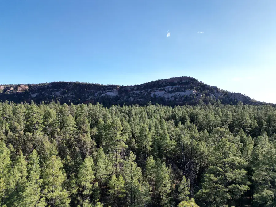 R211158 County Road 12 / Box S Rd, Ramah, NM 87321 - Image #2