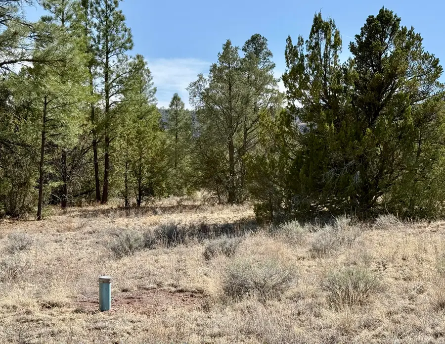 Lot 21 Cottonwood Lane, Ramah, NM 87321 - Image #2