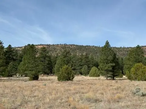 Lot 21 Cottonwood Lane, Ramah, NM 87321 - Image #3
