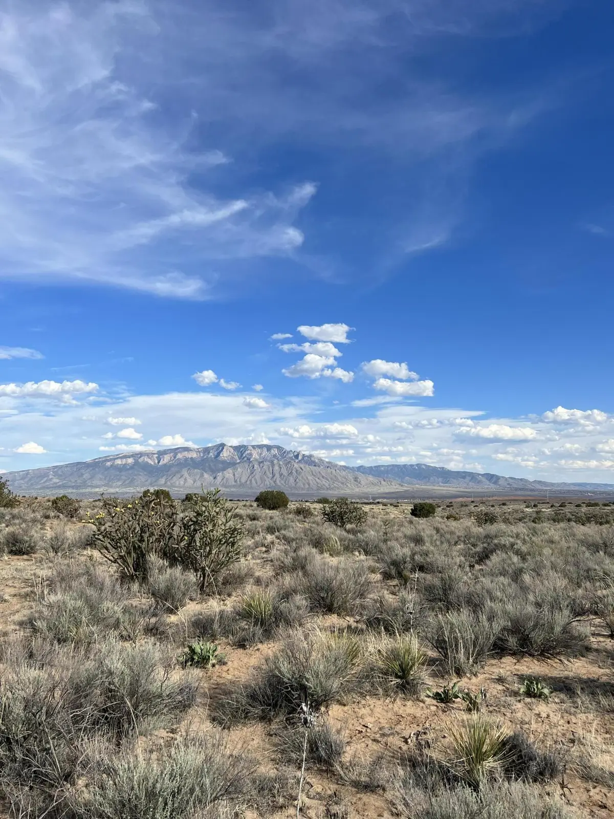 5019/5023 Villanelle Road, Rio Rancho, NM 87144 - #1