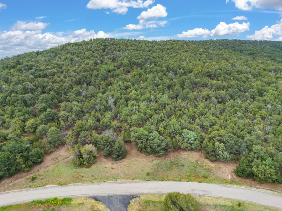 24 Anne Pickard Loop, Tijeras, NM 87059 - Image #3