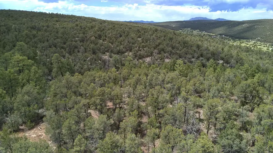 Mccomb Road, Edgewood, NM 87015 - Image #2