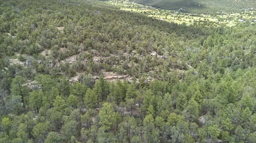 Mccomb Road, Edgewood, NM 87015 - Image #3