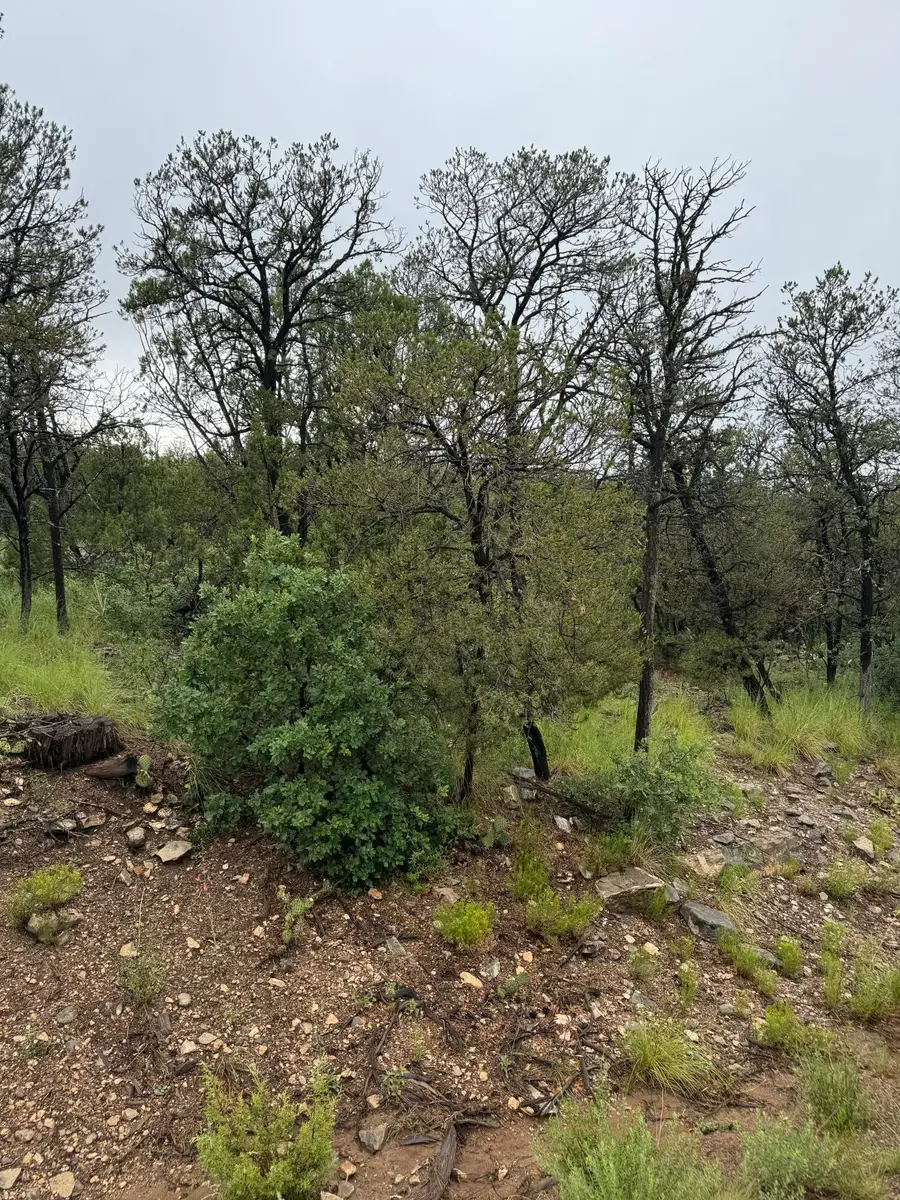 Subd:bella Vista Lot:fblock:45, Edgewood, NM 87015 - Image #2