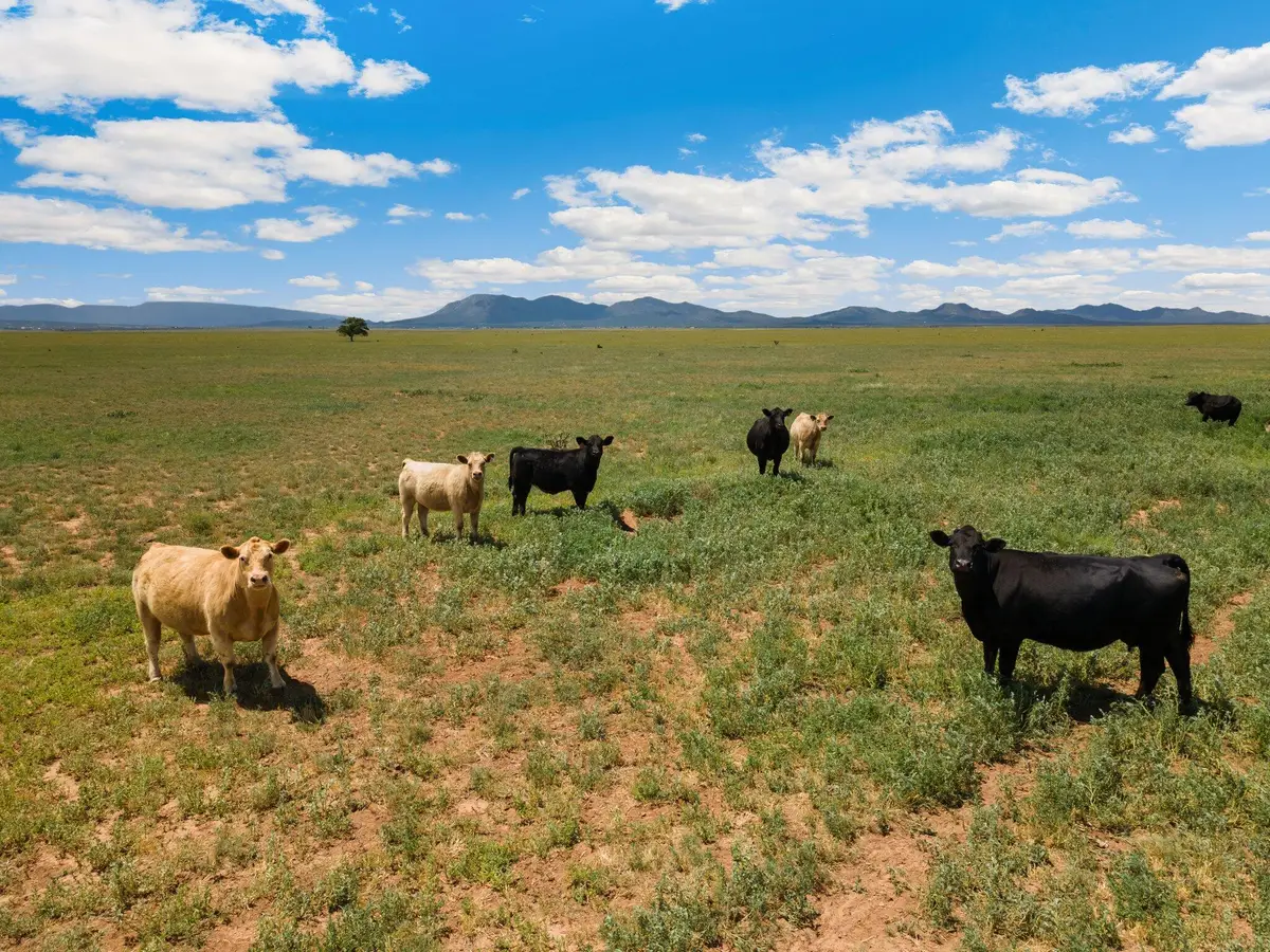 Address Withheld By Seller, Stanley, NM 87056 - Image #1