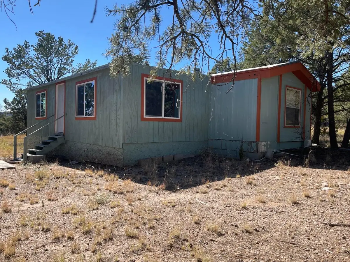 111 Homestead Trail, Datil, NM 87821 - Image #1