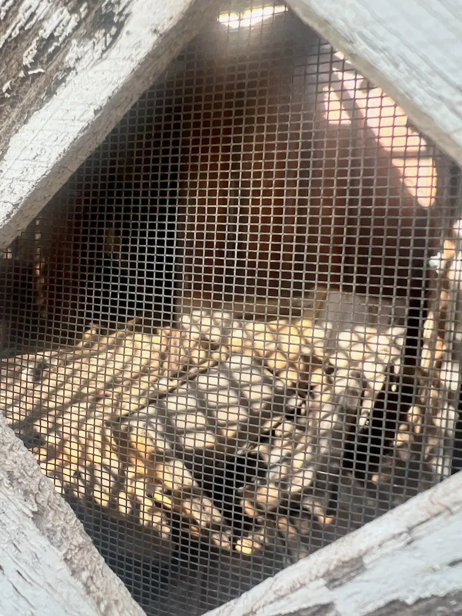 1606 Prewitt Street, Milan, NM 87021 - Image #3