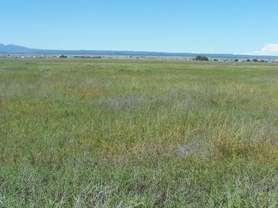 C. Del Sol A081/mulberry A146, McIntosh, NM 87032 - Image #2