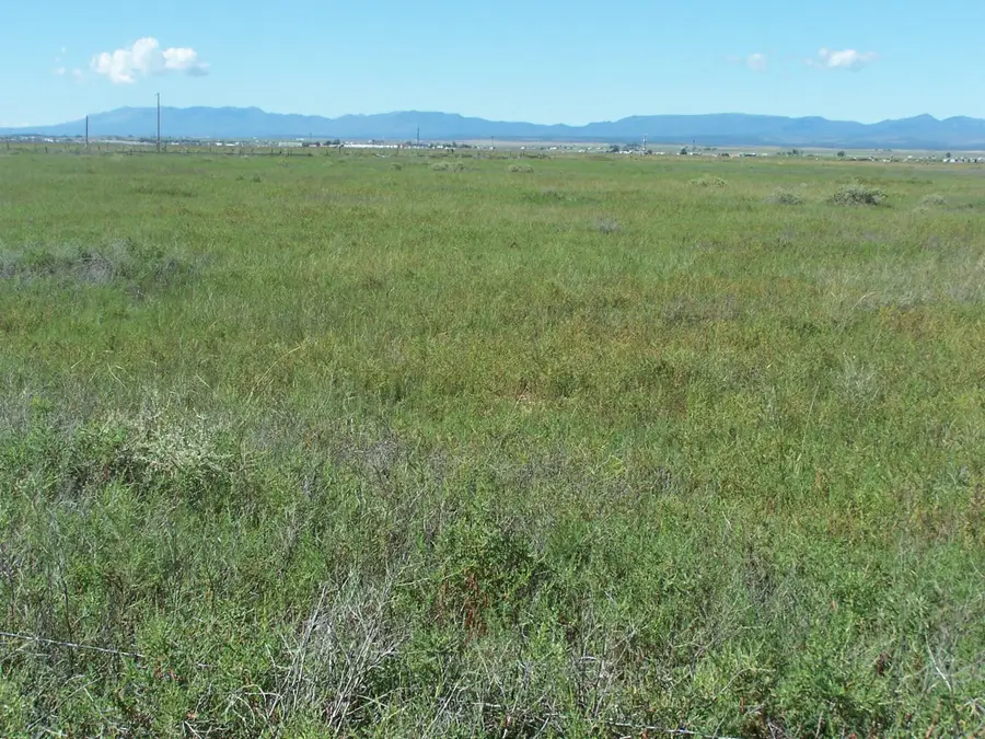 C. Del Sol A081/mulberry A146, McIntosh, NM 87032 - Image #3