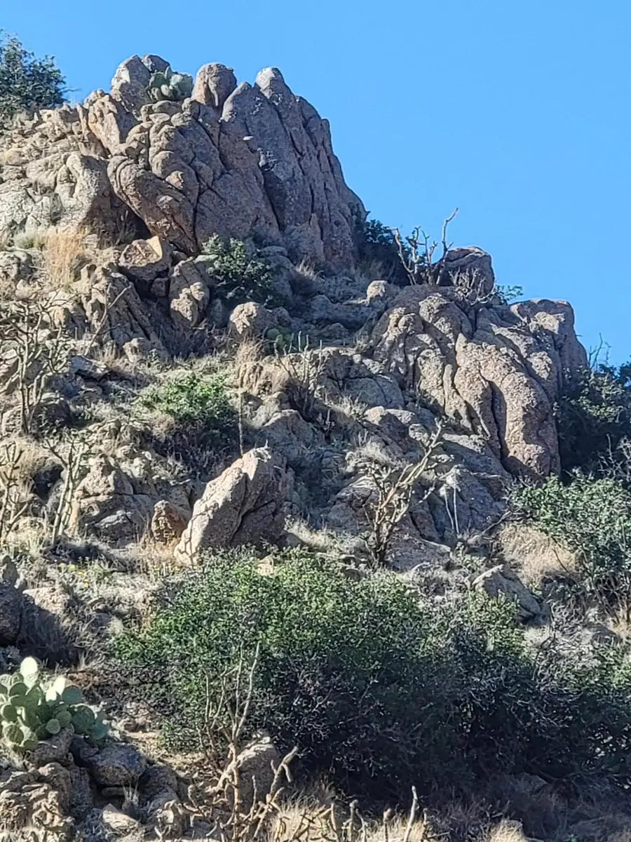 1215/1217 Hideaway Lane Se, Albuquerque, NM 87123 - Image #3