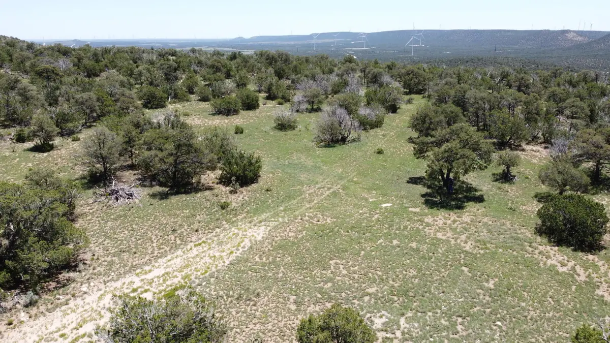 Lot 16 Swayback Trail, Corona, NM 88318 - Image #1