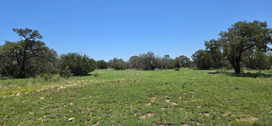Lot 16 Swayback Trail, Corona, NM 88318 - Image #2