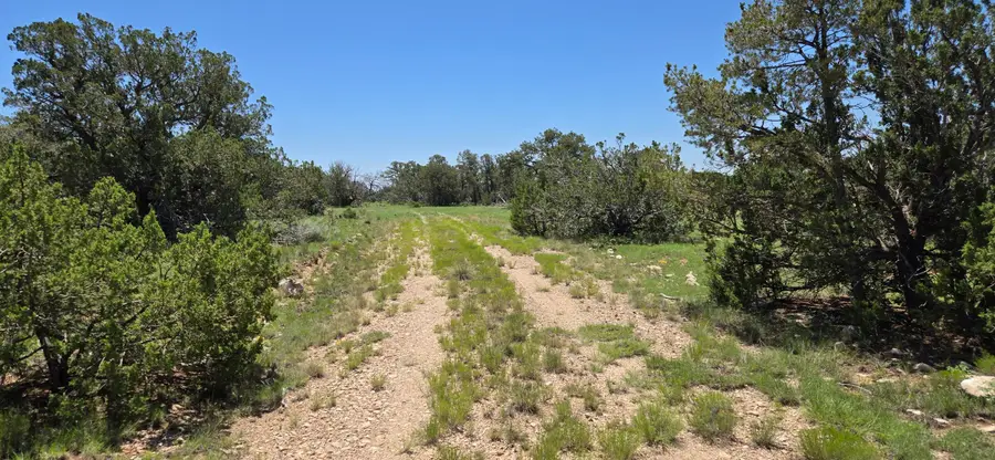 Lot 16 Swayback Trail, Corona, NM 88318 - Image #3
