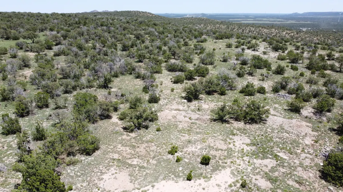 Lot 17 Swayback Trail, Corona, NM 88318 - Image #1