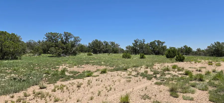 Lot 17 Swayback Trail, Corona, NM 88318 - Image #2
