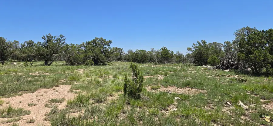 Lot 17 Swayback Trail, Corona, NM 88318 - Image #3