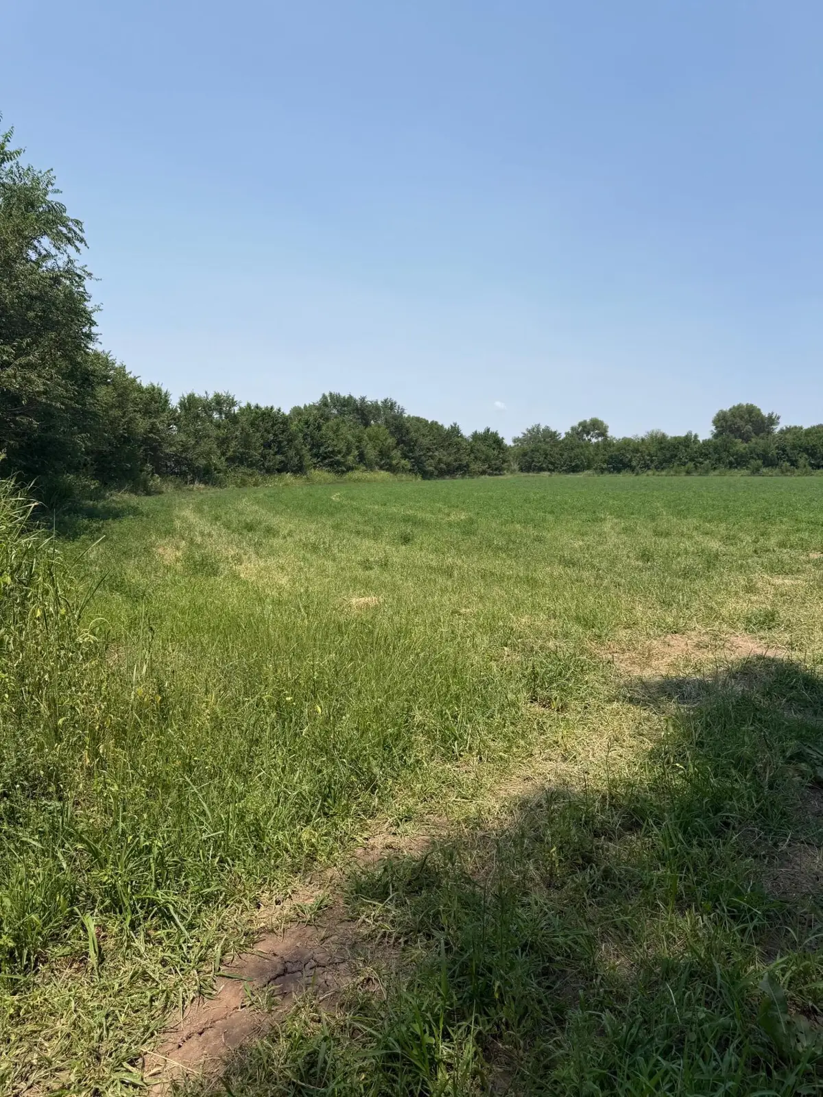 0 Valle Lindo Drive, Peralta, NM 87042 - Image #1