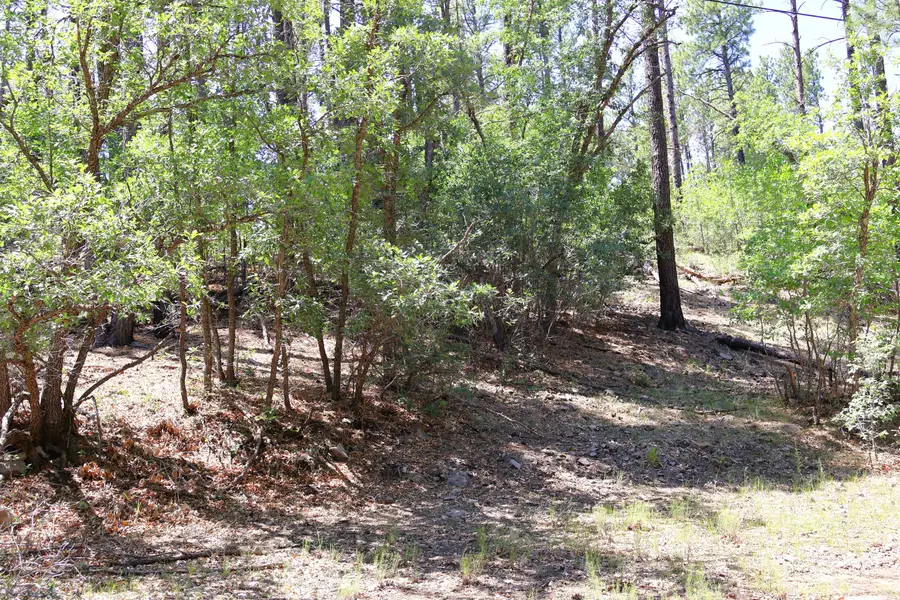 Lot 5 Sherwood Forest, Torreon, NM 87061 - Image #2