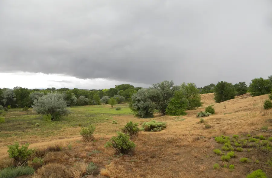 Co Rd 120, La Mesilla, NM 87532 - Image #2