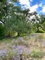 Co Rd 120, La Mesilla, NM 87532 - Image #3