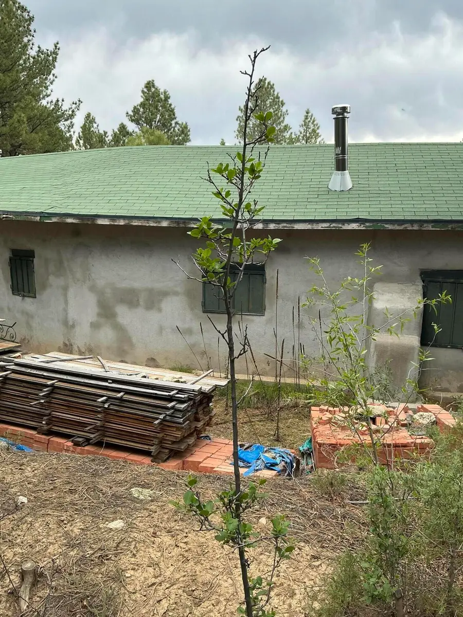 2318 B Old Red River Road, Questa, NM 87556 - Image #3