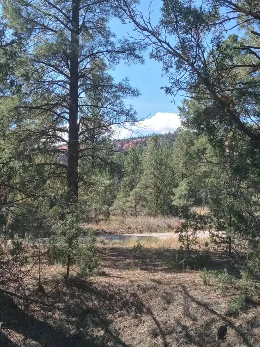 Lot 15 Yucca Drive, Ramah, NM 87321 - Image #3
