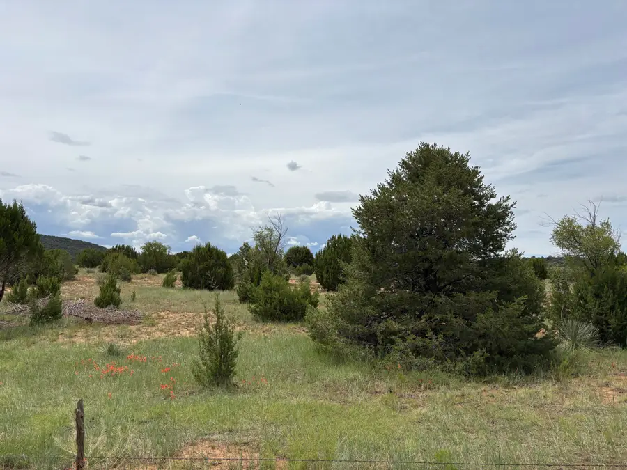 0 East Trail, Edgewood, NM 87015 - Image #3