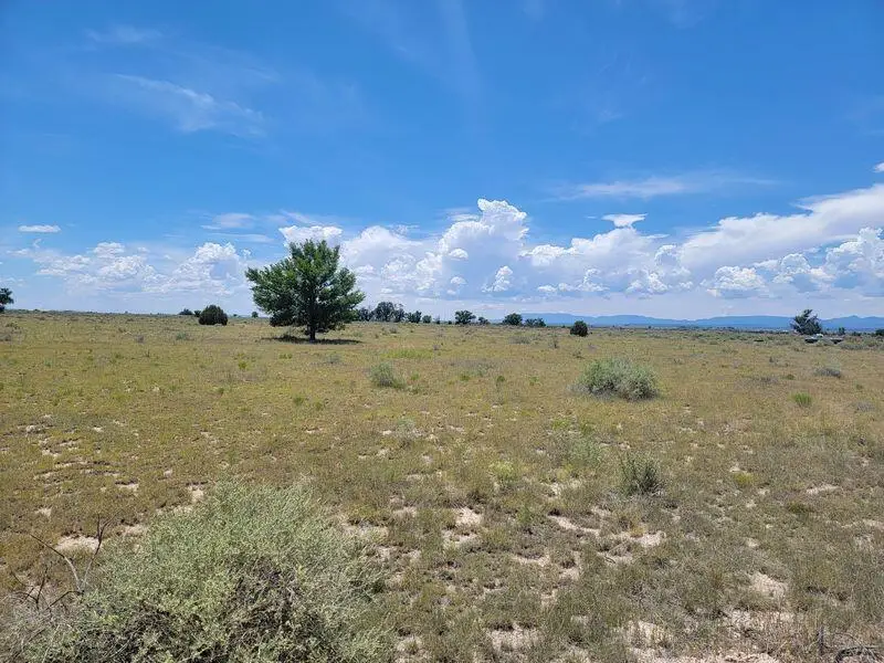 179 Calle Del Sol Road, Estancia, NM 87016 - Image #3