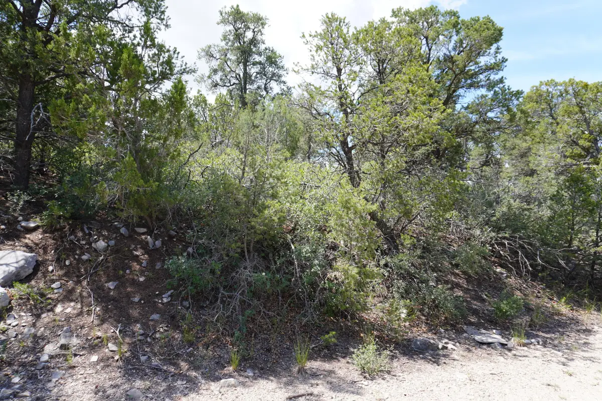 263 Five Hills Drive, Tijeras, NM 87059 - Image #1