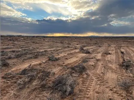 Rodeo Drive, Los Lunas, NM 87031 - Image #2