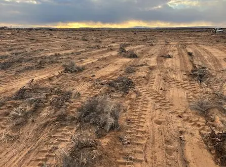 Rodeo Drive, Los Lunas, NM 87031 - Image #3