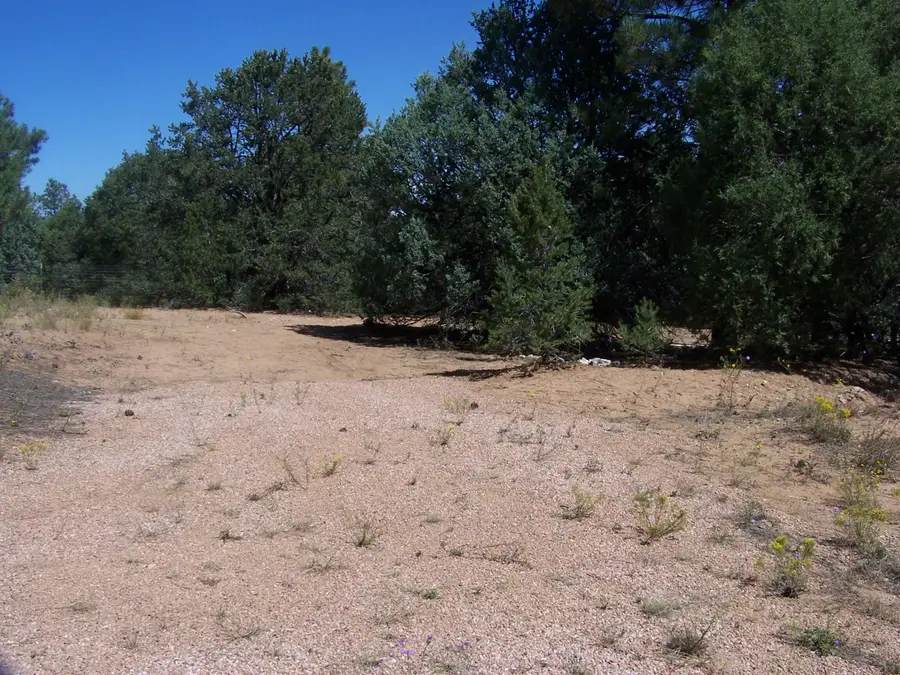 Nm 337/camino Circular, Tijeras, NM 87059 - Image #2