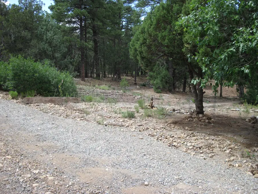 38 & 40 Mockingbird Highway, Tijeras, NM 87059 - Image #2