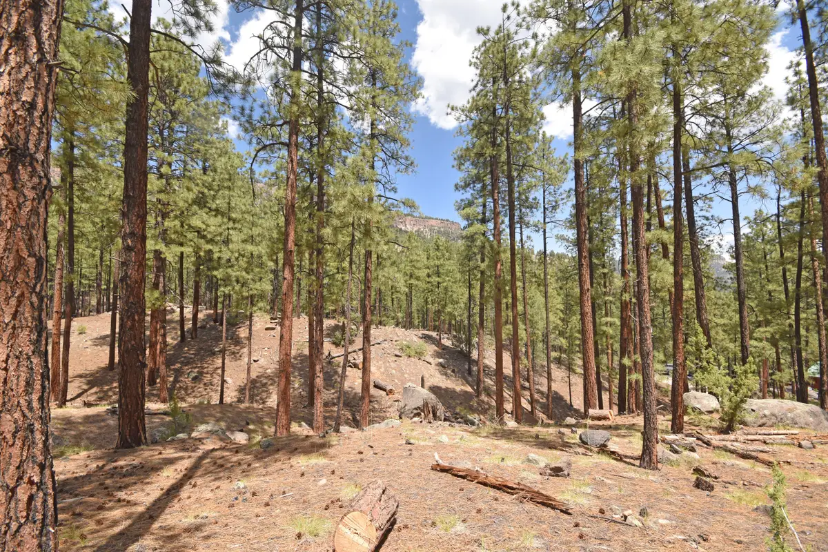 Lot 6A Cool Pines, Jemez Springs, NM 87025 - Image #1