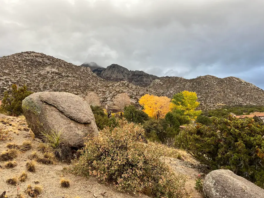 252 Spring Creek Place Ne, Albuquerque, NM 87122 - #3