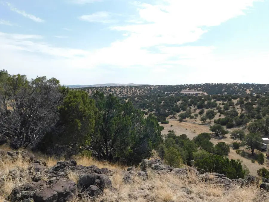 Cowboy Pass, Quemado, NM 87829 - Image #2